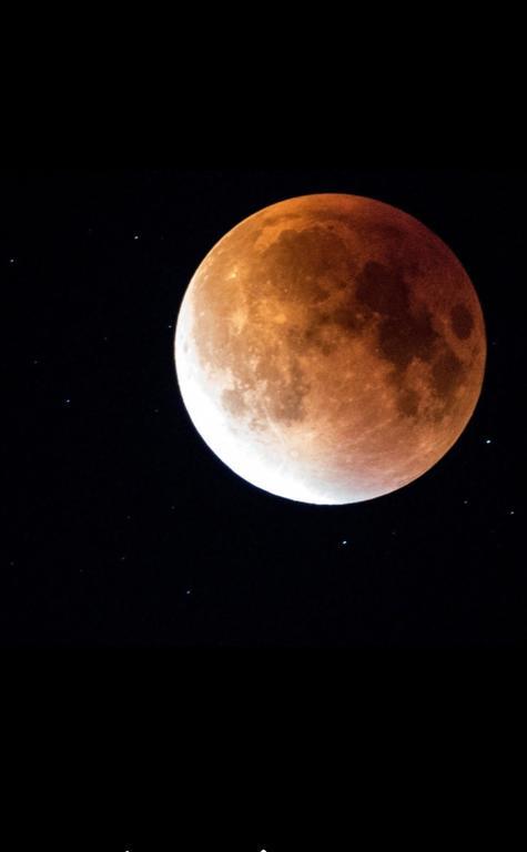 Luna Costinesti Luaran gambar